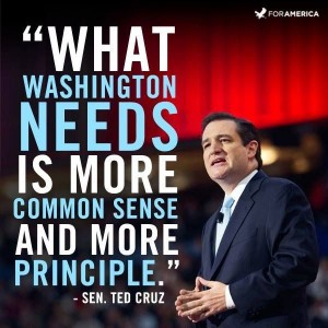 Cruz: "What Washington needs is more common sense"