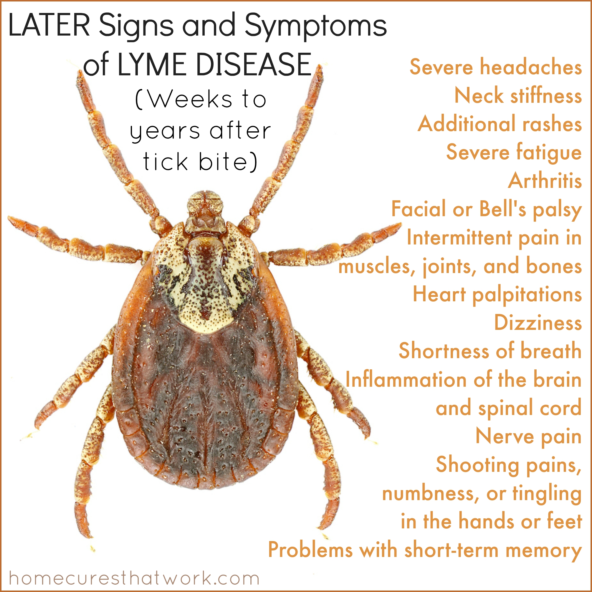 Later signs and symptoms of Lyme disease