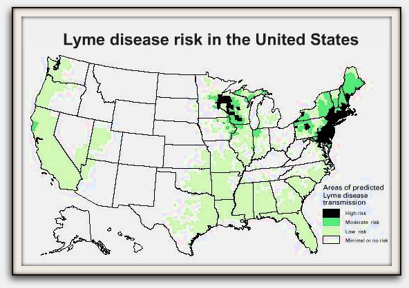 Lyme Disease Risk in the United States
