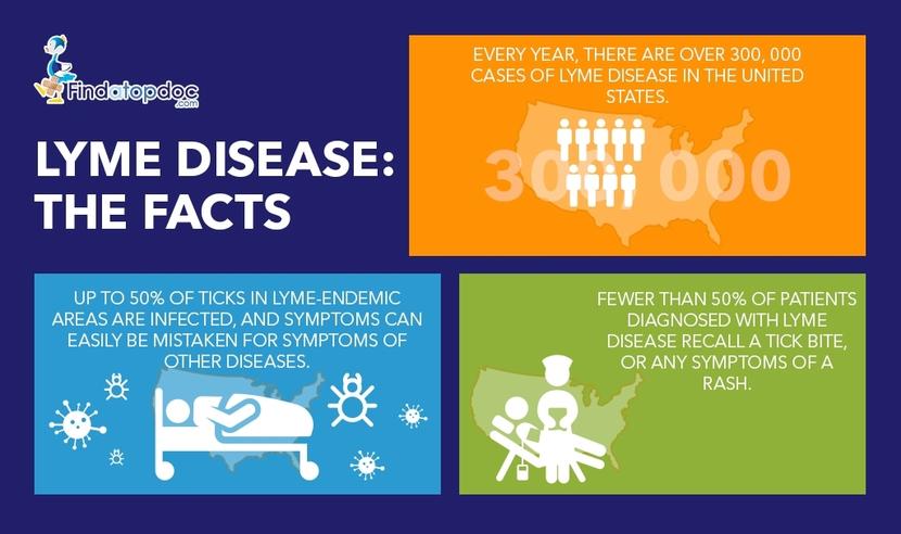 Lyme Disease Facts: 300,000 infected each year