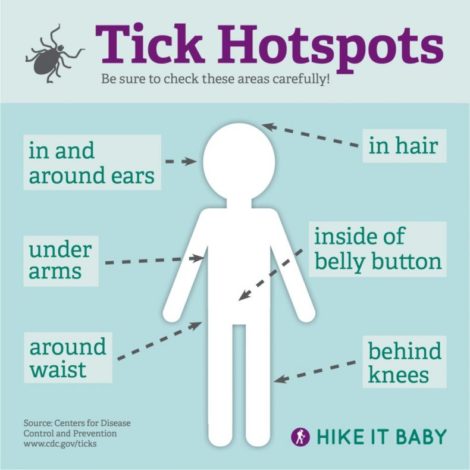 Lyme Prevention: Tick Hotspots to Check After Hiking
